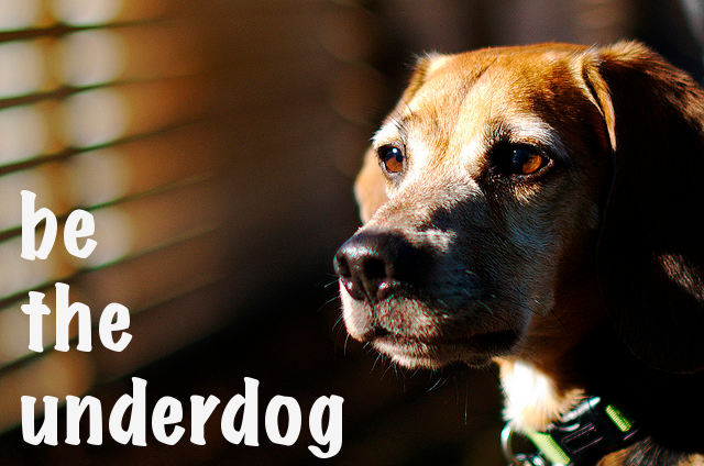 Tash Friday 28:3:14 6